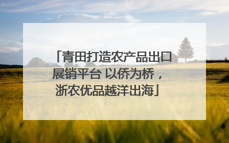 青田打造农产品出口展销平台 以侨为桥，浙农优品越洋出海