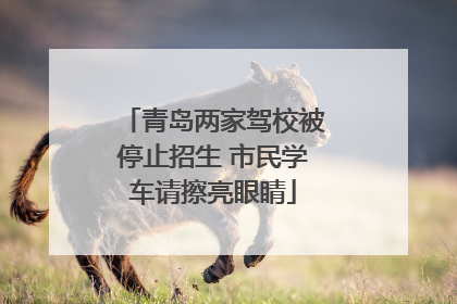 青岛两家驾校被停止招生 市民学车请擦亮眼睛