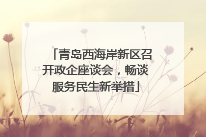 青岛西海岸新区召开政企座谈会，畅谈服务民生新举措