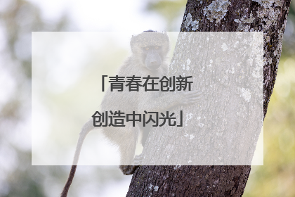 青春在创新创造中闪光