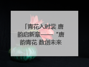 青花入时裳 唐韵启新章——“唐韵青花 数创未来”数字文创设计大赛启幕