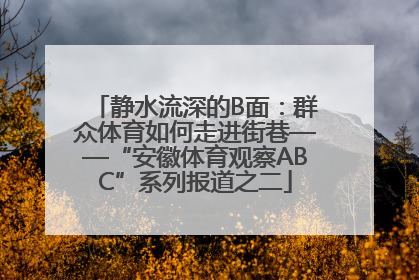静水流深的B面：群众体育如何走进街巷——“安徽体育观察ABC”系列报道之二
