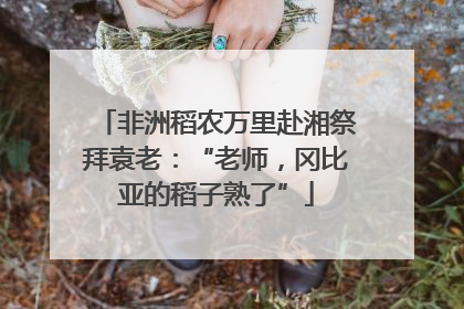 非洲稻农万里赴湘祭拜袁老：“老师，冈比亚的稻子熟了”