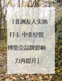 非洲友人实地打卡 中非经贸博览会品牌影响力再提升