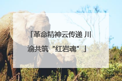 革命精神云传递 川渝共筑“红岩魂”