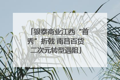 银泰商业江西“首秀”折戟 南昌百货二次元转型遇阻