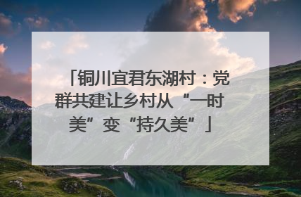 铜川宜君东湖村：党群共建让乡村从“一时美”变“持久美”