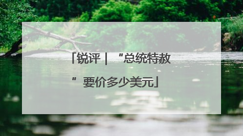 锐评｜“总统特赦”要价多少美元