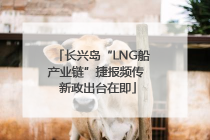 长兴岛“LNG船产业链”捷报频传 新政出台在即