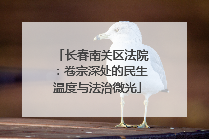 长春南关区法院：卷宗深处的民生温度与法治微光