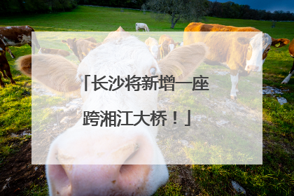 长沙将新增一座跨湘江大桥！