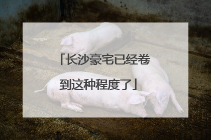 长沙豪宅已经卷到这种程度了