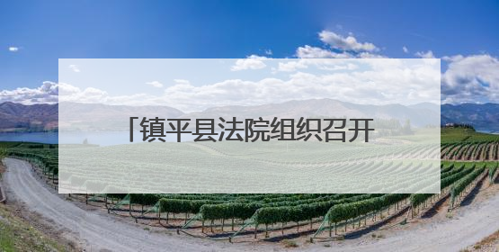 镇平县法院组织召开调研工作推进会暨第三次调研沙龙活动
