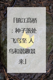 镇江高桥：种子落处飞鸟至 人鸟和谐趣景来