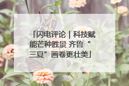 闪电评论｜科技赋能芒种胜景 齐鲁“三夏”画卷更壮美