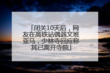 闭关10天后，网友在高铁站偶遇文班亚马，少林寺回应称其已离开寺院