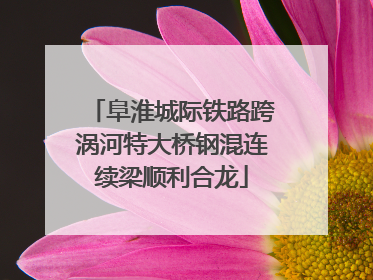 阜淮城际铁路跨涡河特大桥钢混连续梁顺利合龙