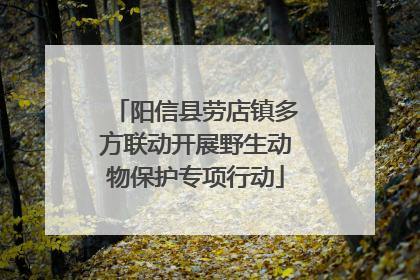 阳信县劳店镇多方联动开展野生动物保护专项行动