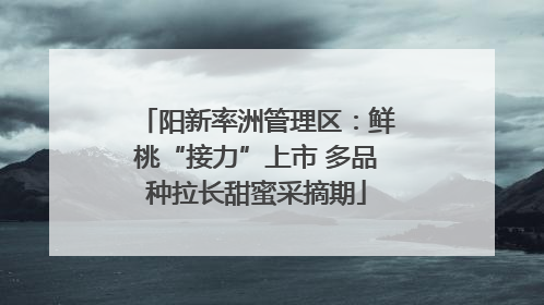 阳新率洲管理区：鲜桃“接力”上市 多品种拉长甜蜜采摘期