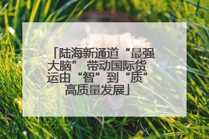 陆海新通道“最强大脑” 带动国际货运由“智”到“质”高质量发展