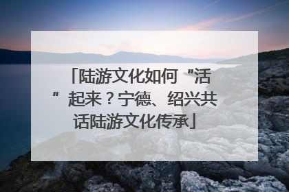 陆游文化如何“活 ”起来？宁德、绍兴共话陆游文化传承