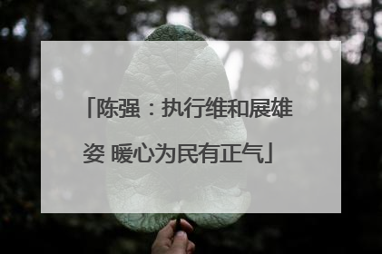 陈强：执行维和展雄姿 暖心为民有正气