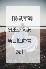 陈武军调研重点文旅项目推进情况