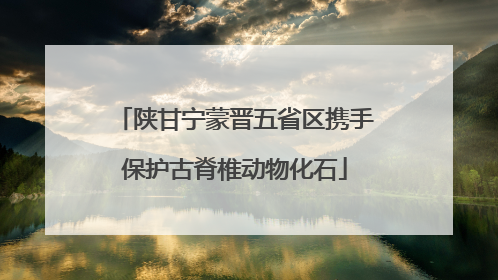 陕甘宁蒙晋五省区携手保护古脊椎动物化石