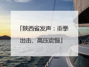 陕西省发声：重拳出击、高压震慑