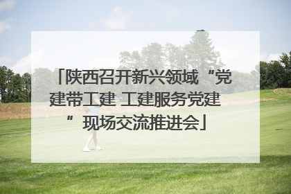 陕西召开新兴领域“党建带工建 工建服务党建”现场交流推进会