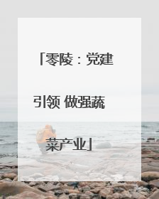 零陵：党建引领 做强蔬菜产业