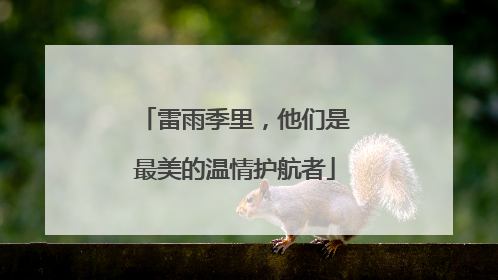 雷雨季里，他们是最美的温情护航者