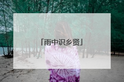 雨中识乡贤