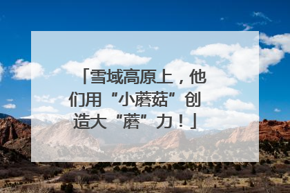 雪域高原上，他们用“小蘑菇”创造大“蘑”力！