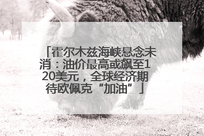 霍尔木兹海峡悬念未消：油价最高或飙至120美元，全球经济期待欧佩克“加油”