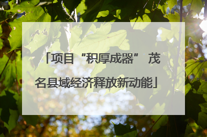项目“积厚成器” 茂名县域经济释放新动能