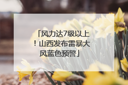 风力达7级以上！山西发布雷暴大风蓝色预警