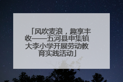 风吹麦浪，趣享丰收——五河县申集镇大李小学开展劳动教育实践活动