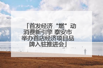 首发经济“燃”动消费新引擎 泰安市举办首店经济项目品牌入驻推进会