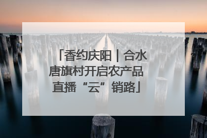 香约庆阳｜合水唐旗村开启农产品直播“云”销路