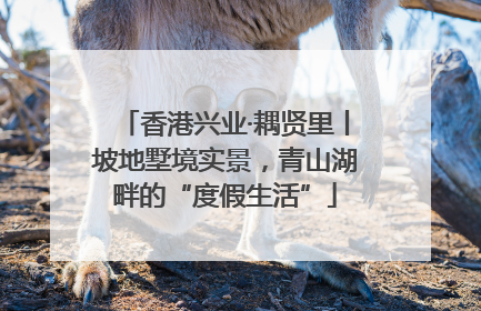 香港兴业·耦贤里丨坡地墅境实景，青山湖畔的“度假生活”