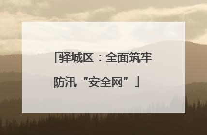 驿城区：全面筑牢防汛“安全网”