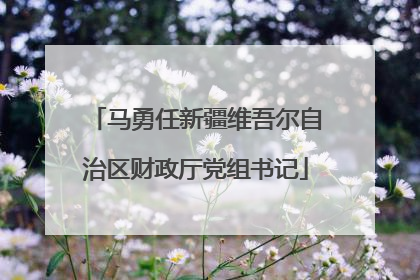 马勇任新疆维吾尔自治区财政厅党组书记