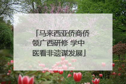 马来西亚侨商侨领广西研修 学中医看非遗谋发展