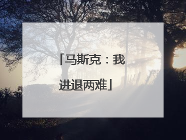 马斯克：我进退两难