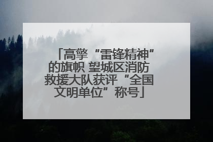 高擎“雷锋精神”的旗帜 望城区消防救援大队获评“全国文明单位”称号
