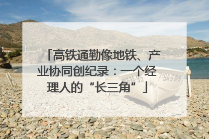 高铁通勤像地铁、产业协同创纪录：一个经理人的“长三角”