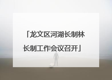 龙文区河湖长制林长制工作会议召开