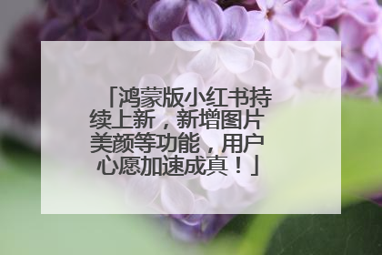鸿蒙版小红书持续上新，新增图片美颜等功能，用户心愿加速成真！