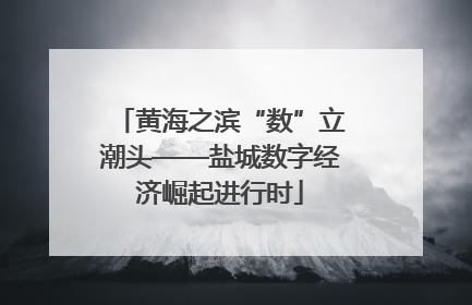 黄海之滨“数”立潮头——盐城数字经济崛起进行时
